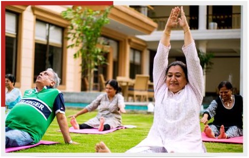 Wellness & Engagement